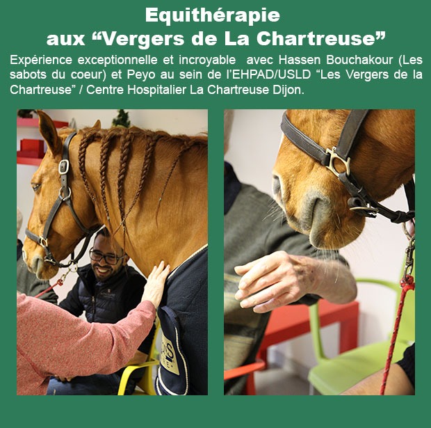 Equithérapie aux Vergers de La Chartreuse