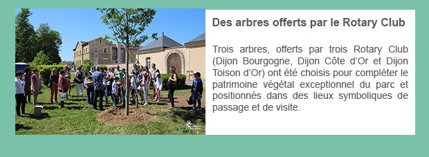 Des arbres offerts par le Rotary Club