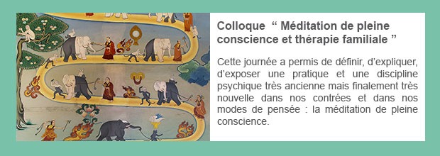 Colloque  » Méditation de pleine conscience et thérapie familiale « 