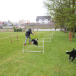 6e Olympiades CHLC - A PAS de chiens 6e Olympiades CHLC - A PAS de chiens