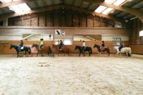 Atelier équitation de l'Equipe de Sport Adapté