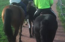 Atelier équitation de l’ESA