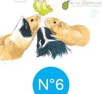 La Gazette N°6