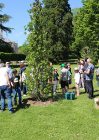 Des arbres offerts par le Rotary Club