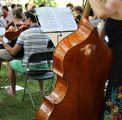 L’Ensemble Orchestral de Dijon en représentation au CHLC !