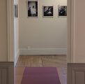 « Sauvages imaginaires » de Fabienne CRESENS : exposition à l’Hostellerie