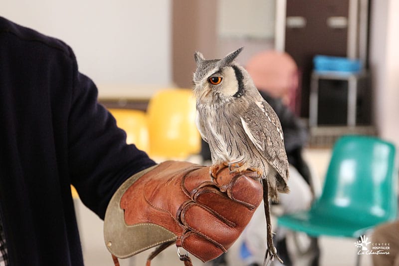  Les chouettes du cœur rendent visite aux résidents des « Vergers de La Chartreuse »