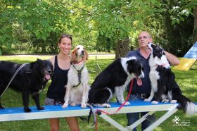 Médiation animale : démonstration Agility au CHLC