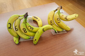 2600€ et des bananes !