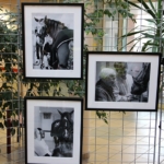 Vernissage de l’exposition « Les résidents et Peyo »