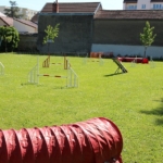 parcours d’agilité pour chiens (Amicale Dijonnaise des Sports Canins)