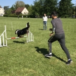 parcours d’agilité pour chiens (Amicale Dijonnaise des Sports Canins)