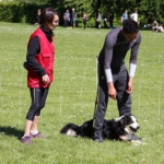 parcours d’agilité pour chiens (Amicale Dijonnaise des Sports Canins)