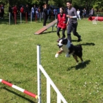 parcours d’agilité pour chiens (Amicale Dijonnaise des Sports Canins)