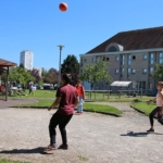 Volley