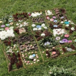 Land’Art avec Claire Durante et Muriel Carillon-Gouvernet les art-thérapeutes du CHLC