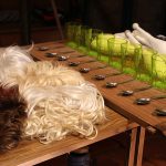 Cirque Lili au CHLC Cirque Lili au CHLC