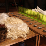 Cirque Lili au CHLC Cirque Lili au CHLC