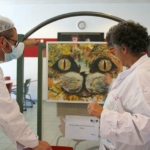 Exposition Art-Self "Animal Fétiche, Animal Totem" au CHLC Exposition Art-Self "Animal Fétiche, Animal Totem" au CHLC