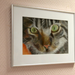 Semaine bleue à l’EHPAD « Les Vergers de La Chartreuse » Semaine bleue à l’EHPAD « Les Vergers de La Chartreuse »