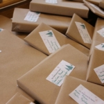 Bibliothèque pour tous, un livre sous le sapin ! Bibliothèque pour tous, un livre sous le sapin !