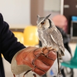 Les chouettes du cœur rendent visite aux résidents des « Vergers de La Chartreuse »
