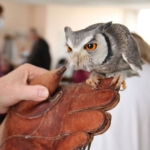Les chouettes du cœur rendent visite aux résidents des « Vergers de La Chartreuse »
