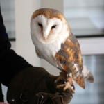 Les chouettes du cœur rendent visite aux résidents des « Vergers de La Chartreuse »