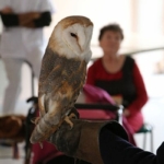 Les chouettes du cœur rendent visite aux résidents des « Vergers de La Chartreuse »