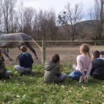 séjour thérapeutique à Buis-les-Baronnies dans la Drôme - Les Rondeaux du CHLC séjour thérapeutique à Buis-les-Baronnies dans la Drôme - Les Rondeaux du CHLC