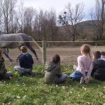 séjour thérapeutique à Buis-les-Baronnies dans la Drôme - Les Rondeaux du CHLC séjour thérapeutique à Buis-les-Baronnies dans la Drôme - Les Rondeaux du CHLC