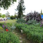 Journée mondiale sans tabac au CHLC Journée mondiale sans tabac au CHLC