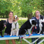 Médiation animale : démonstration Agility au CHLC