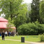 8e édition des Olympiades au CHLC