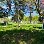 L'exposition est visible jusqu'au 19 mai devant la Grande Orangerie du Jardin de l'Arquebuse