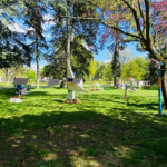 L'exposition est visible jusqu'au 19 mai devant la Grande Orangerie du Jardin de l'Arquebuse