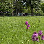 Visite des Jardins de la Chartreuse : Un événement inoubliable - 2024 Visite des Jardins de la Chartreuse : Un événement inoubliable - 2024