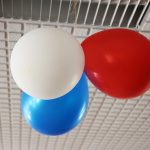 L'EHPAD a été décoré aux couleurs de la France