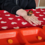 médiation animale financé par l'association au bénéfice d'enfants suivis au sein de l'unité petit pas du CHLC médiation animale financé par l'association au bénéfice d'enfants suivis au sein de l'unité petit pas du CHLC