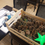 Des guirlandes de pommes de pin ont également été créées. Des guirlandes de pommes de pin ont également été créées.