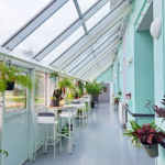 La verrière se végétalise au fil des mois pour créer un espace apaisant La verrière se végétalise au fil des mois pour créer un espace apaisant