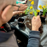 Rencontres intergénérationnelles entre le collège Henry Dunant et l’EHPAD Les Vergers du CH La Chartreuse Rencontres intergénérationnelles entre le collège Henry Dunant et l’EHPAD Les Vergers du CH La Chartreuse