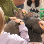 Médiation animale grâce au soutien de la Fondation Adrienne et Pierre Sommer, en partenariat avec la Fluffy Compagnie au sein des unités Adolits et Adosoins du CH La Chartreuse Médiation animale au sein des unités Adolits et Adosoins du CH La Chartreuse