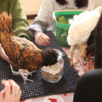 Médiation animale grâce au soutien de la Fondation Adrienne et Pierre Sommer, en partenariat avec la Fluffy Compagnie au sein des unités Adolits et Adosoins du CH La Chartreuse Médiation animale au sein des unités Adolits et Adosoins du CH La Chartreuse