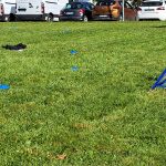 10e édition des Olympiades au CHLC 10e édition des Olympiades au CHLC