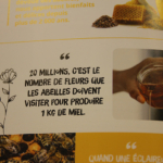 Semaine des fleurs pour les abeilles Semaine des fleurs pour les abeilles