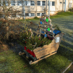 Animations de Noël au CHLC Animations de Noël au CHLC