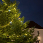 Animations de Noël au CHLC Animations de Noël au CHLC