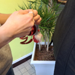 Animations de Noël au CHLC Animations de Noël au CHLC